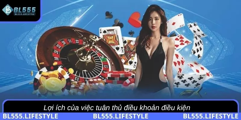 Lợi ích của việc tuân thủ điều khoản điều kiện của BL555