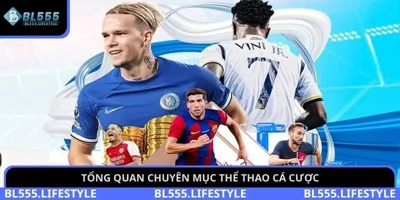 Tổng quan chuyên mục thể thao cá cược